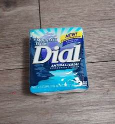 Dial Basics Soap