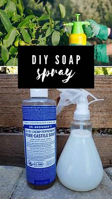 Ivory Liquid Soap