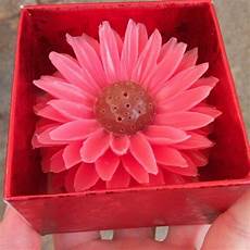 Blumen Hand Soap