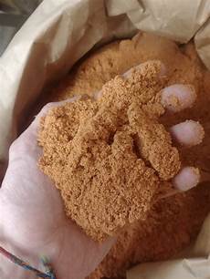 Bone Meal Plants