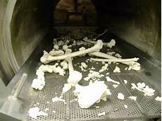 Bone Powder