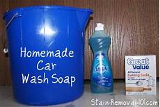 Castile Soap Dish Soap