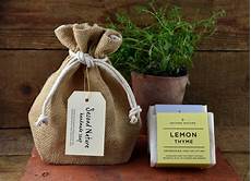 Cinnamon Soaps