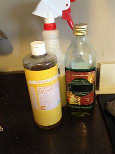 Citrus Castile Soap