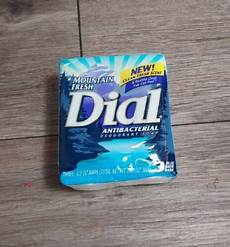 Dial Basics Soap
