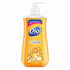 Dial Foaming Hand Soap