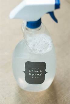 Dr Bronners Dish Soap