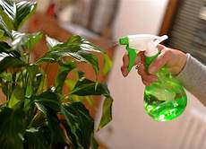 Eco Liquid Soap