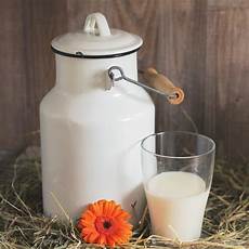 Goat Milk Liquid Soap