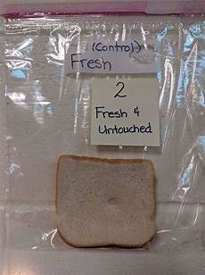 Hand Wash Sanitizer