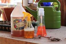 Homemade Foaming Hand Soap