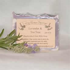Liquid Hand Soaps