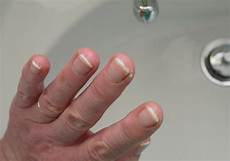 Meyer Lemon Hand Soap