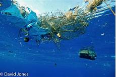 Ocean Soaps