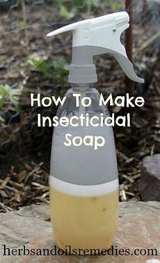 Olive Oil Natural Soap