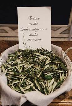 Olive Oil Soaps