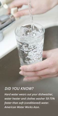 Soaps And Detergents