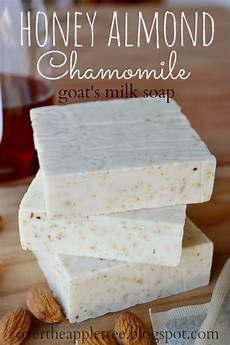 Softsoap Milk And Honey