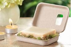 Sustainable Hand Soap