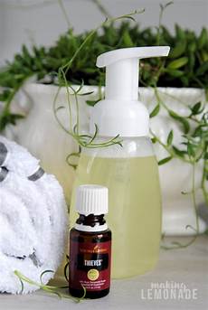 Thieves Hand Soap