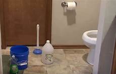 Toilet Soaps