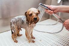Washing Soaps